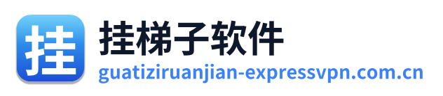 挂梯子软件 Logo